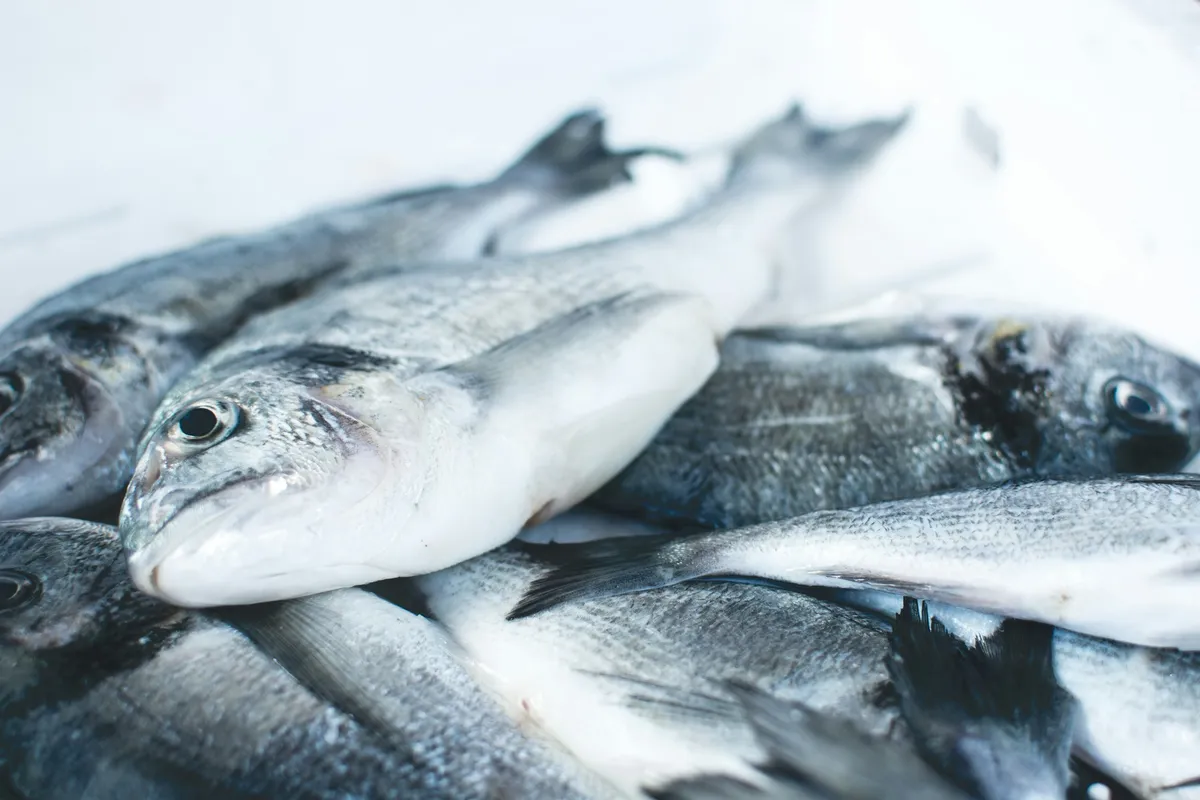 Omega-3: What the Science Currently Supports
