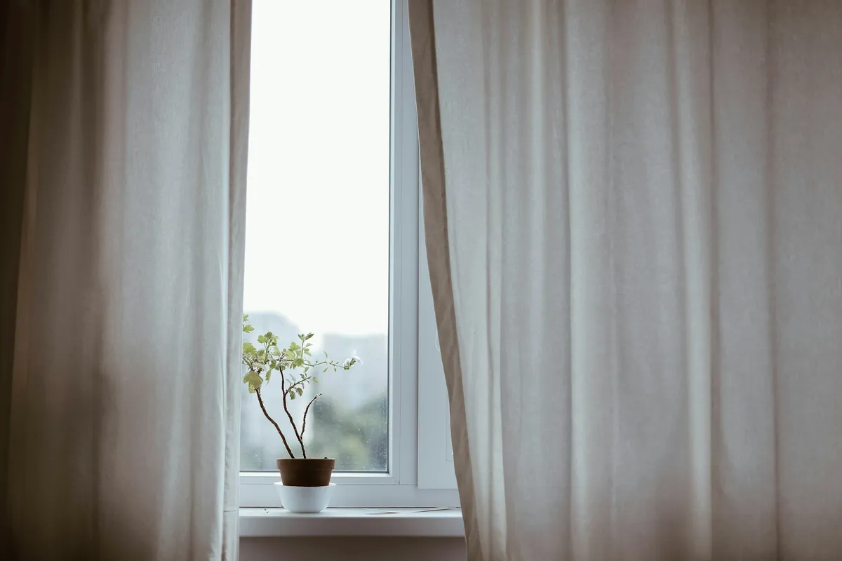 Understanding Vitamin D and Everyday Wellbeing